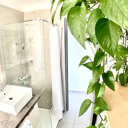 T2 Paradise Vue